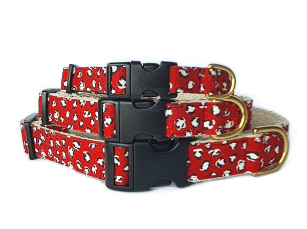 Wild - Dog Collar