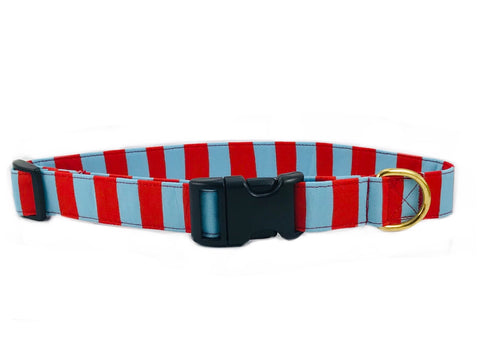 Bright blue and red striped dog collar