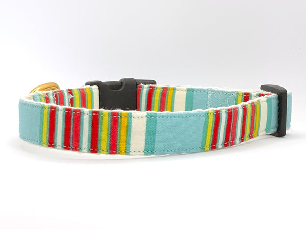 Beach Bum - Dog Collar