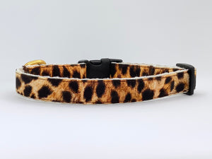 Change Your Spots - Dog Collar