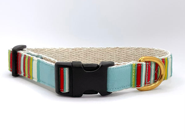 Beach Bum - Dog Collar