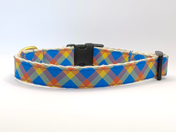 Check Me Out - Dog Collar