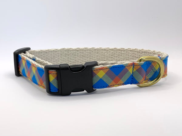 Check Me Out - Dog Collar