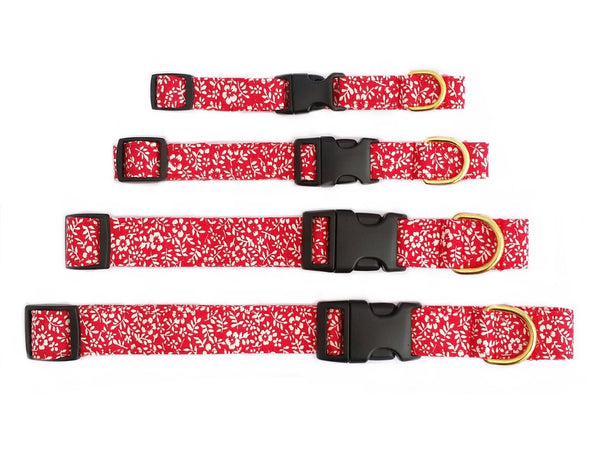 Seeing Red - Dog Collar